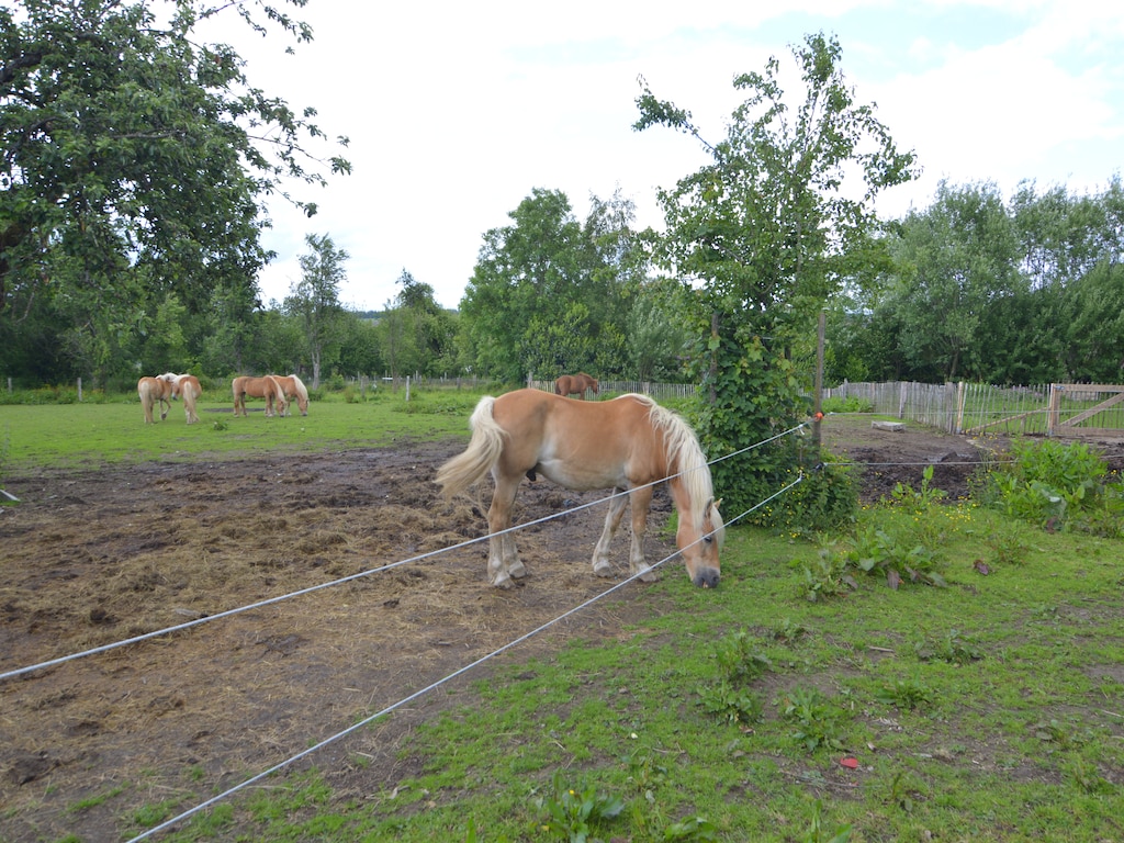 Bild 22 Bild 22