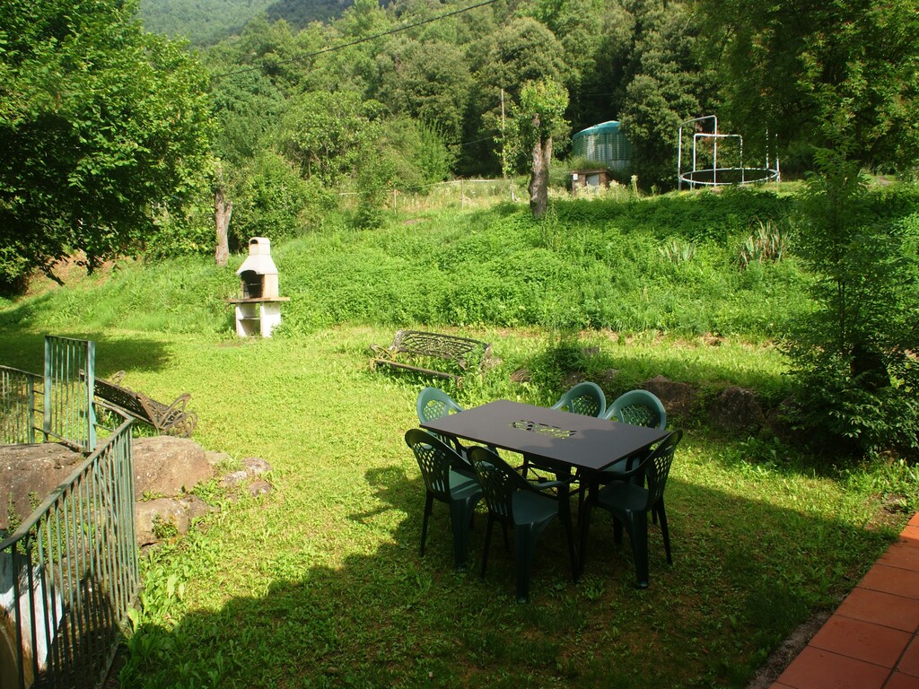 Bild 5 Bild 5