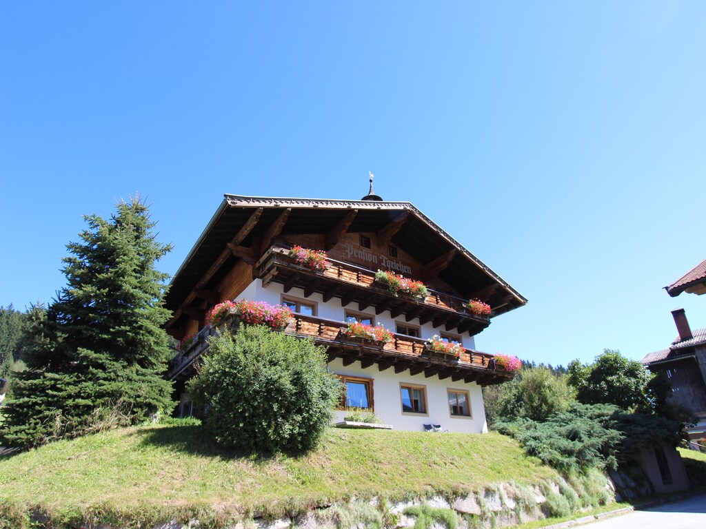 Bild 9 Bild 9