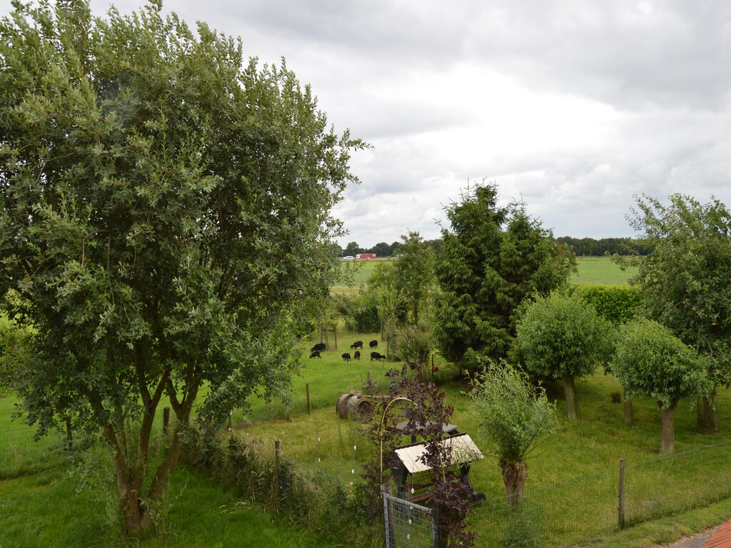 Bild 4 Bild 4