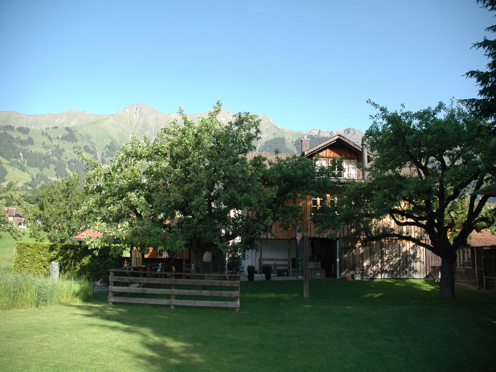 Bild 12