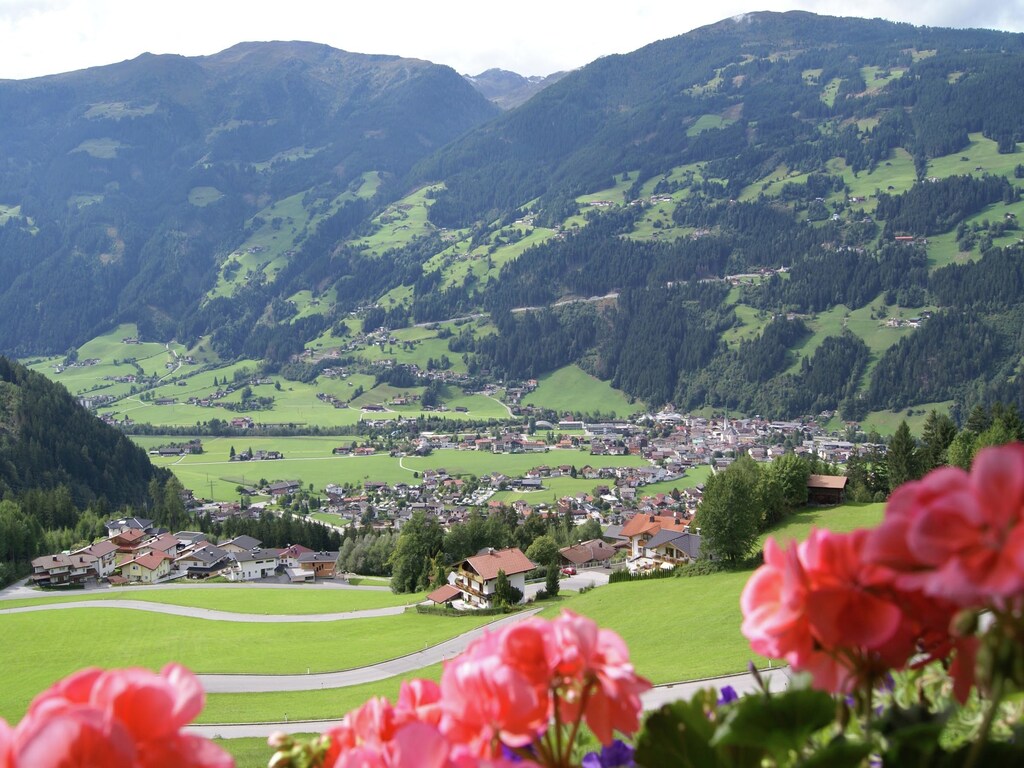 Bild 9 Bild 9