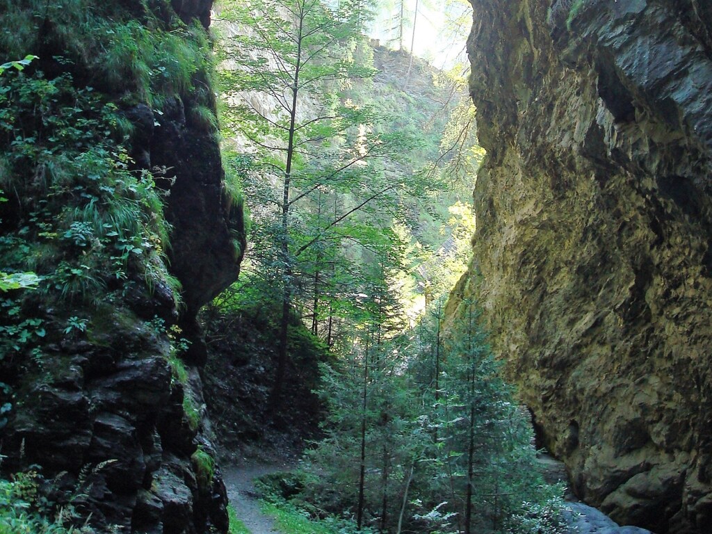 Bild 20 Bild 20