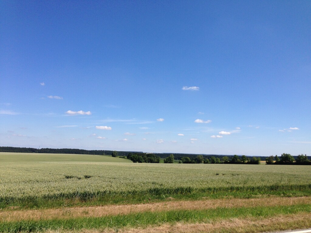 Bild 19 Bild 19