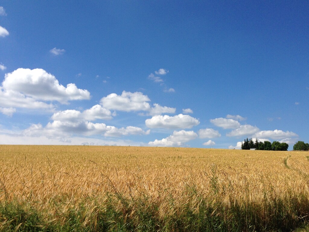 Bild 20 Bild 20