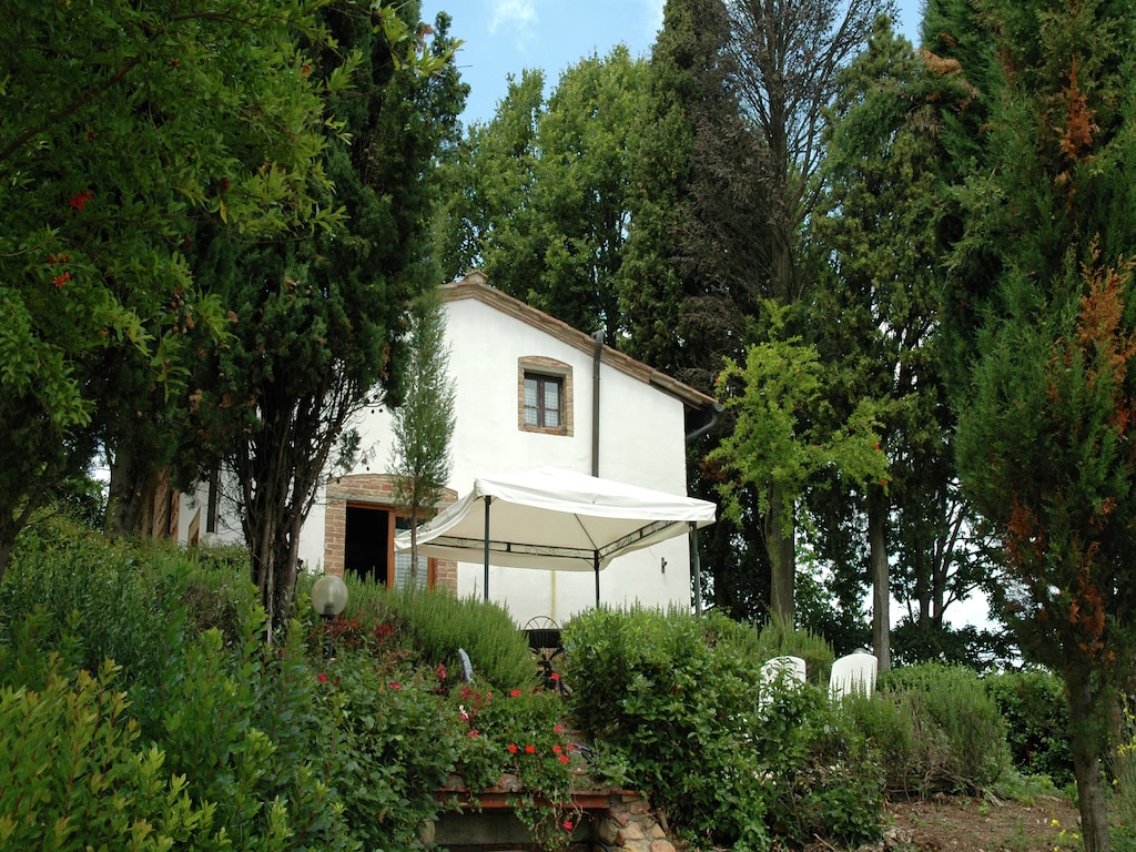 Bild 8 Bild 8