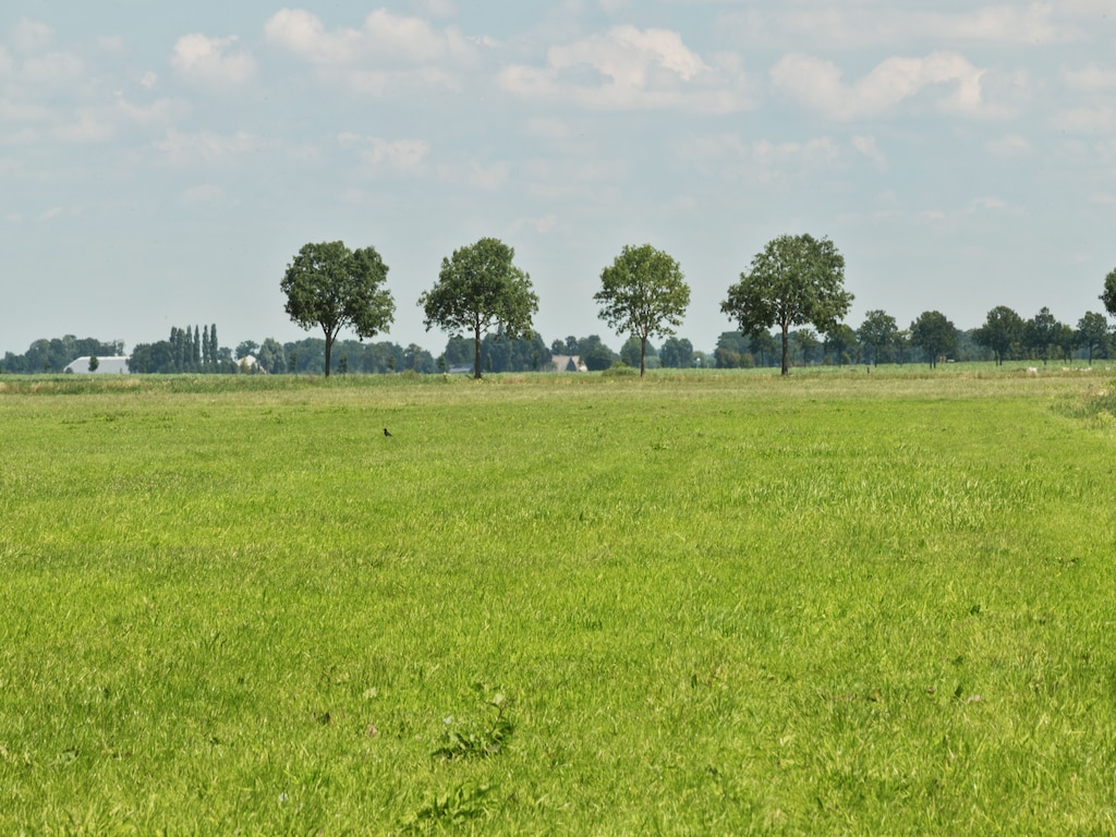 Bild 31