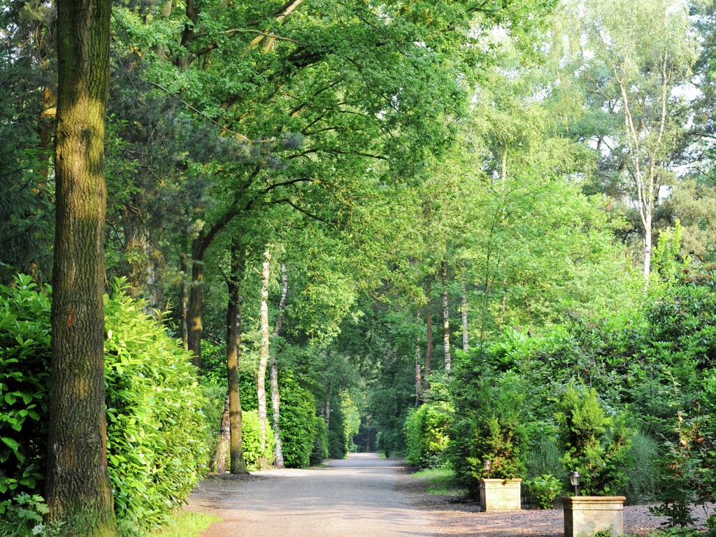 Bild 22 Bild 22