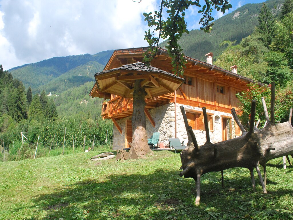 Bild 11 Bild 11