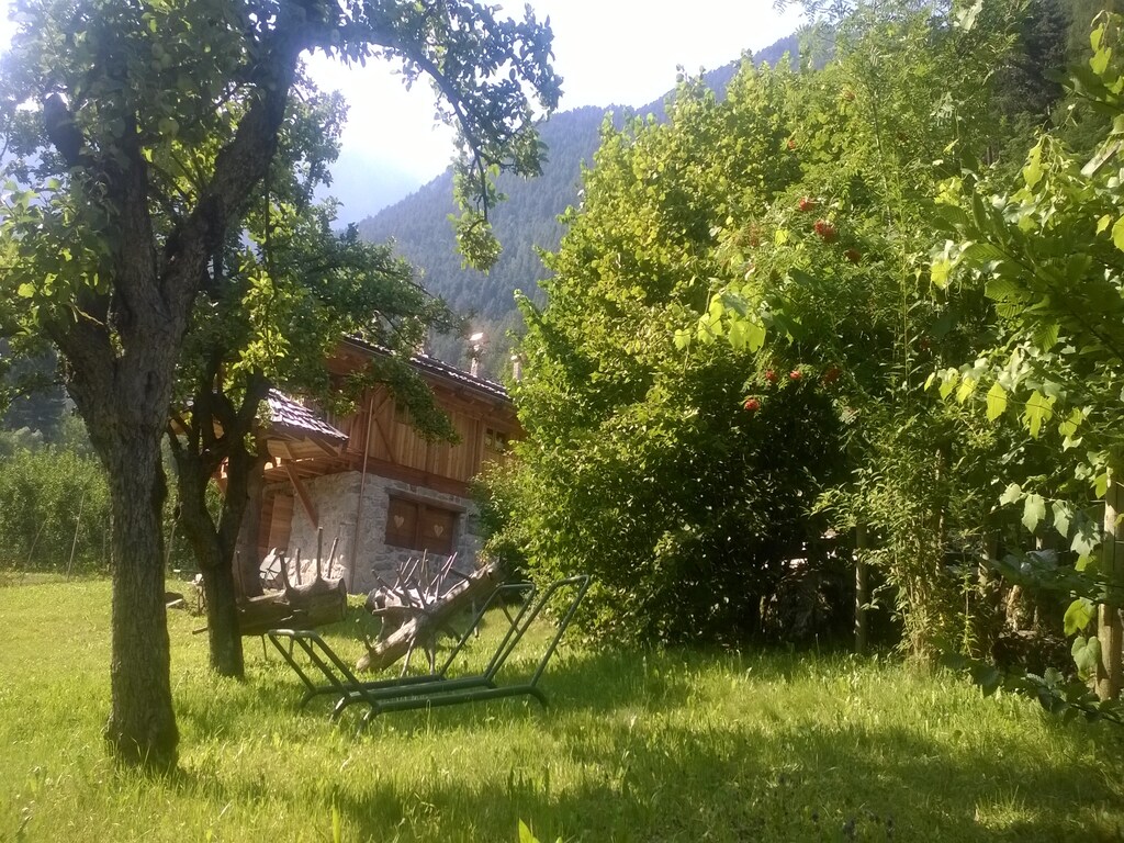 Bild 12 Bild 12