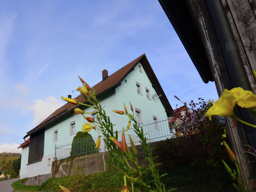 Prachtig vakantiehuis met grote tuin nabij Stadlern