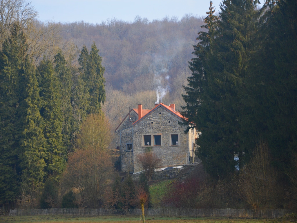 Bild 11 Bild 11