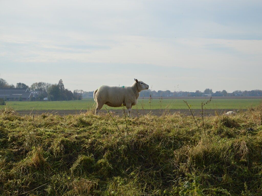 Bild 31