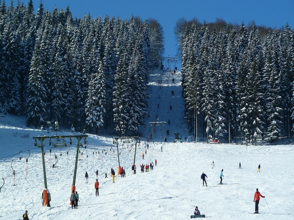 Bild 15