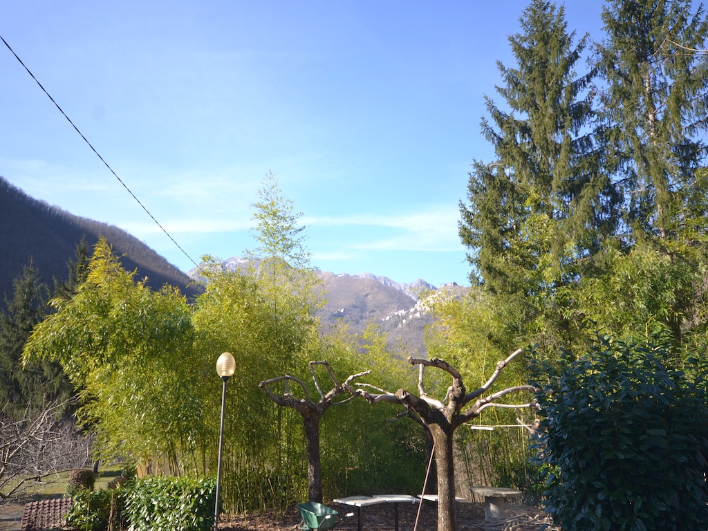 Bild 7 Bild 7
