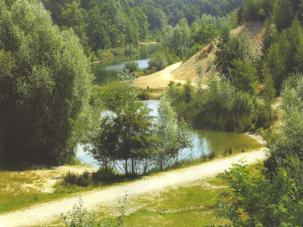 Bild 28