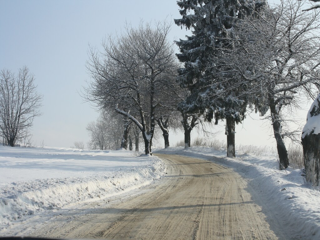 Bild 4 Bild 4