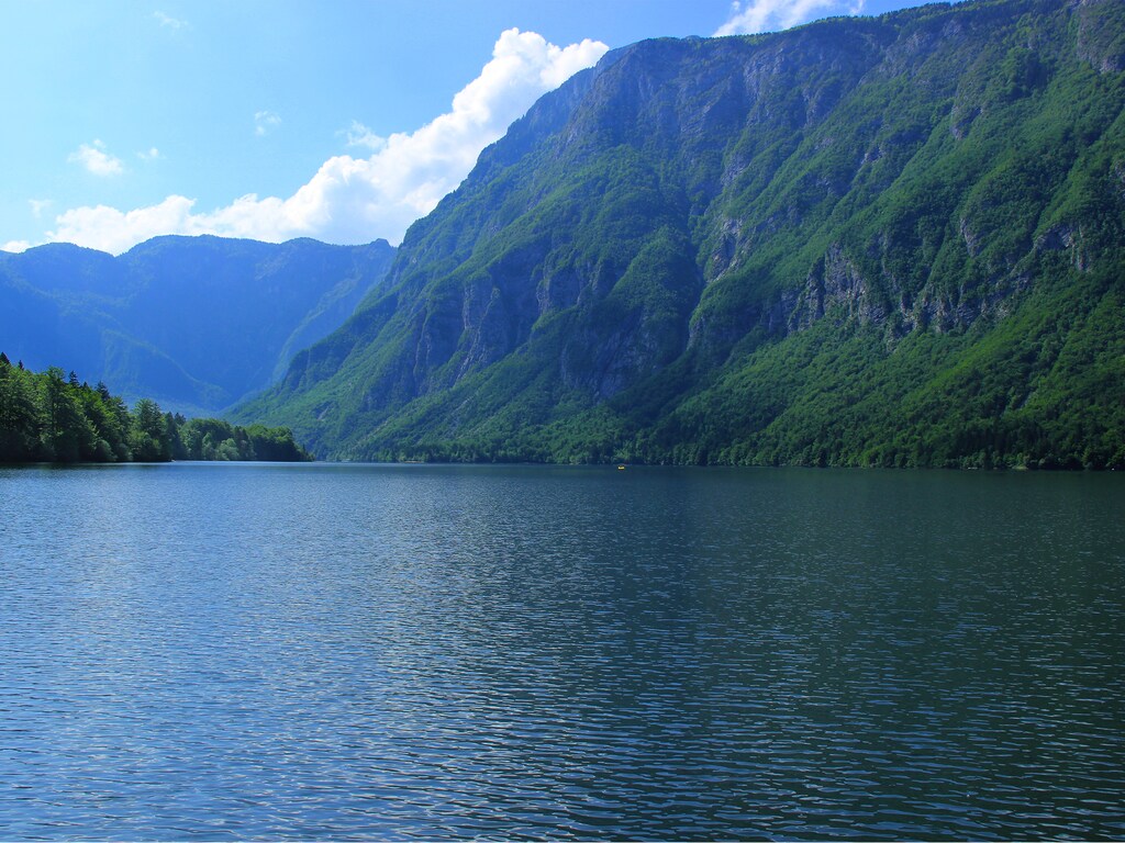 Bild 12 Bild 12