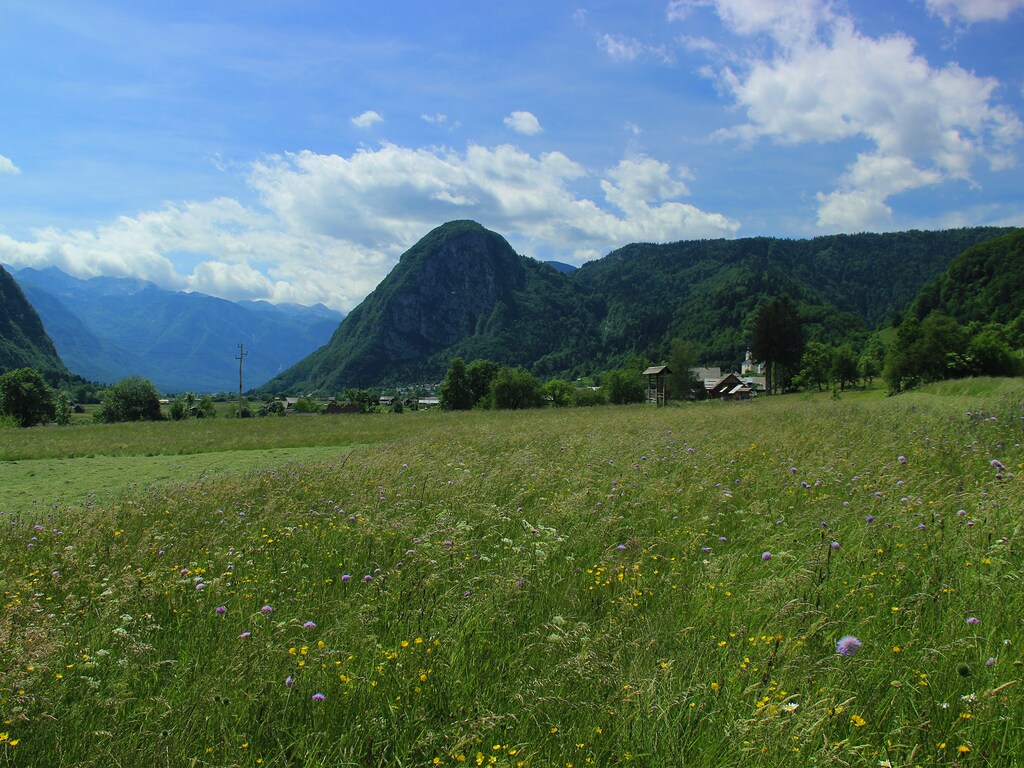 Bild 19 Bild 19