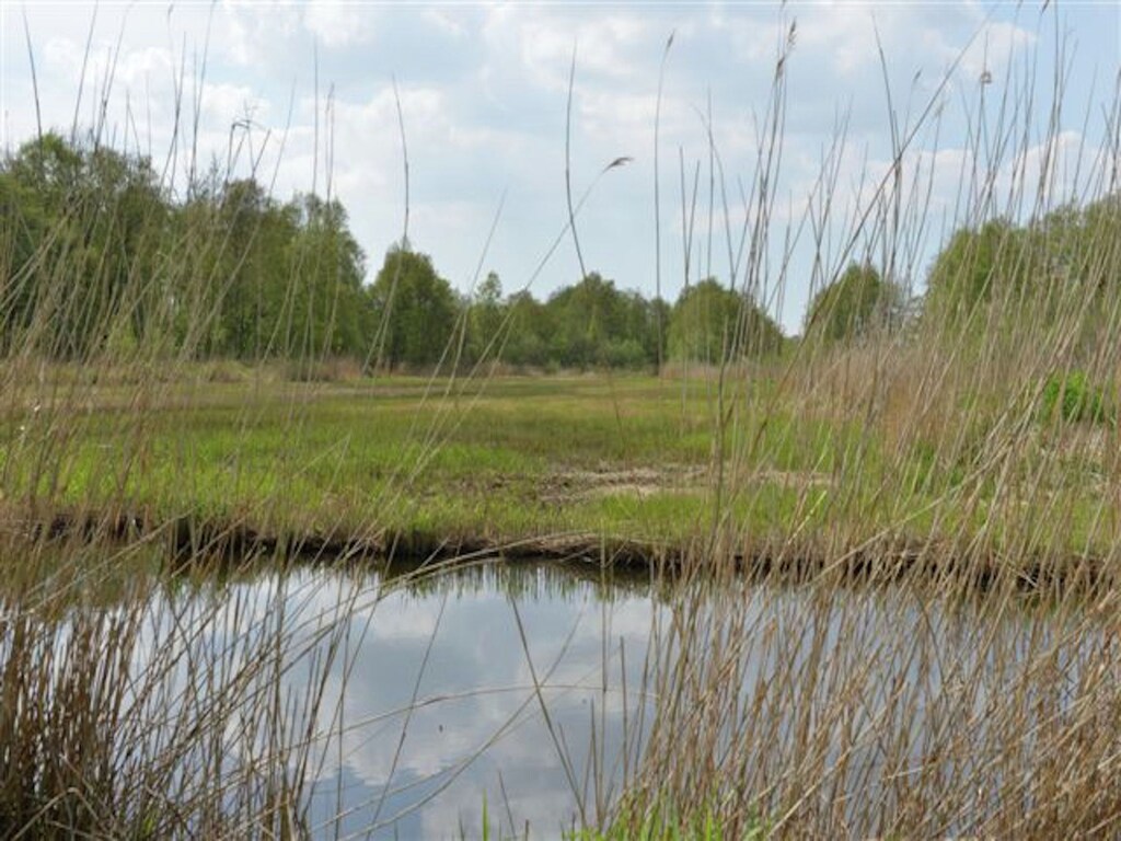 Bild 33 Bild 33
