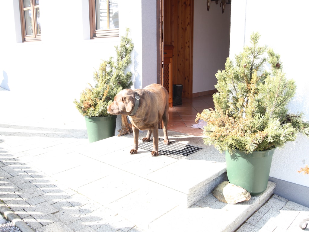 Bild 12 Bild 12