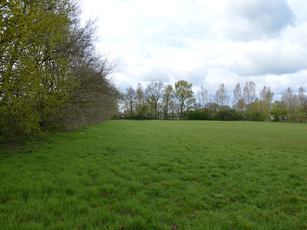Bild 5 Bild 5