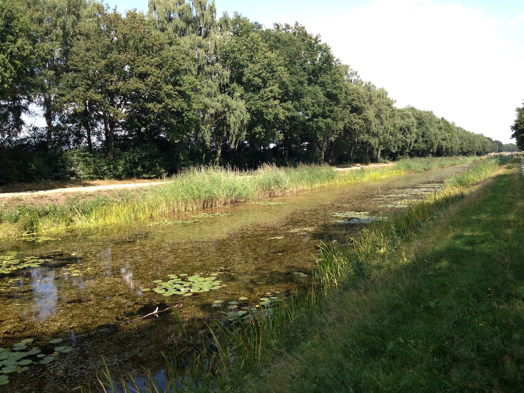 Bild 18 Bild 18
