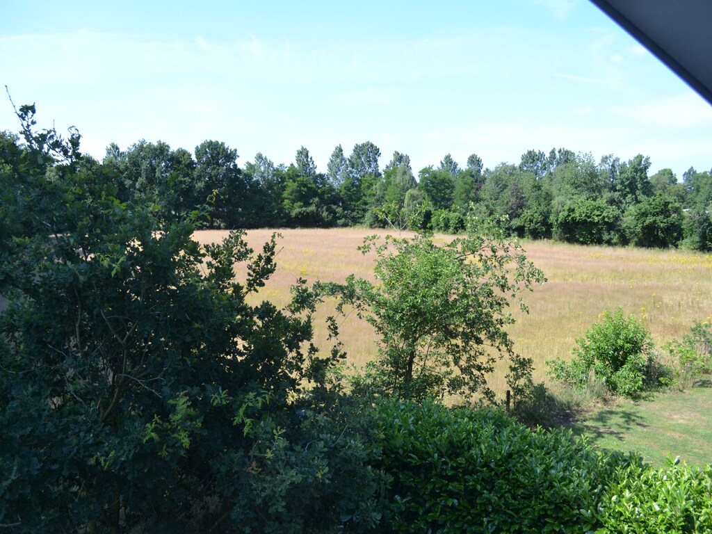 Bild 19 Bild 19