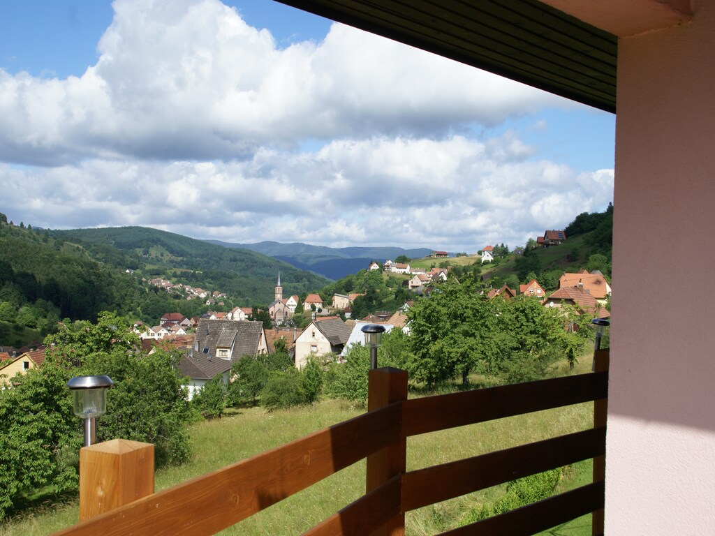Ferienhaus Maison de vacances - NATZWILLER (1658520), La Broque, Unterelsass, Elsass, Frankreich, Bild 6