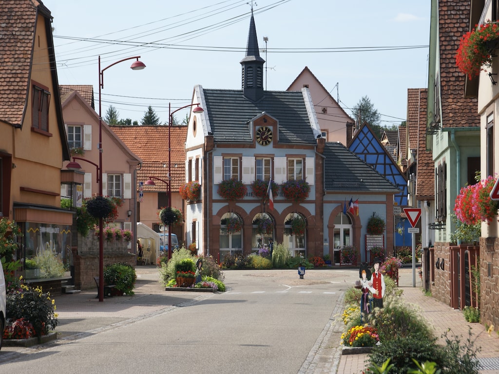 Ferienhaus Maison de vacances - SCHLEITHAL (1663841), Wissembourg, Unterelsass, Elsass, Frankreich, Bild 21