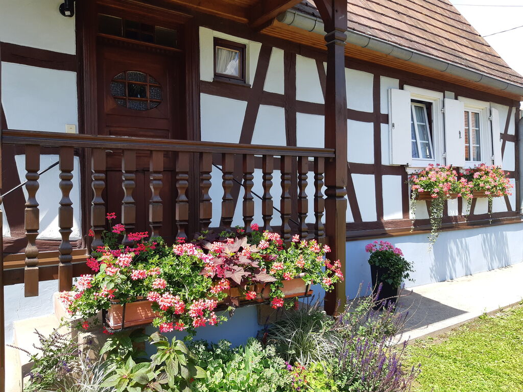 Ferienhaus Maison de vacances - SCHLEITHAL (1663841), Wissembourg, Unterelsass, Elsass, Frankreich, Bild 40