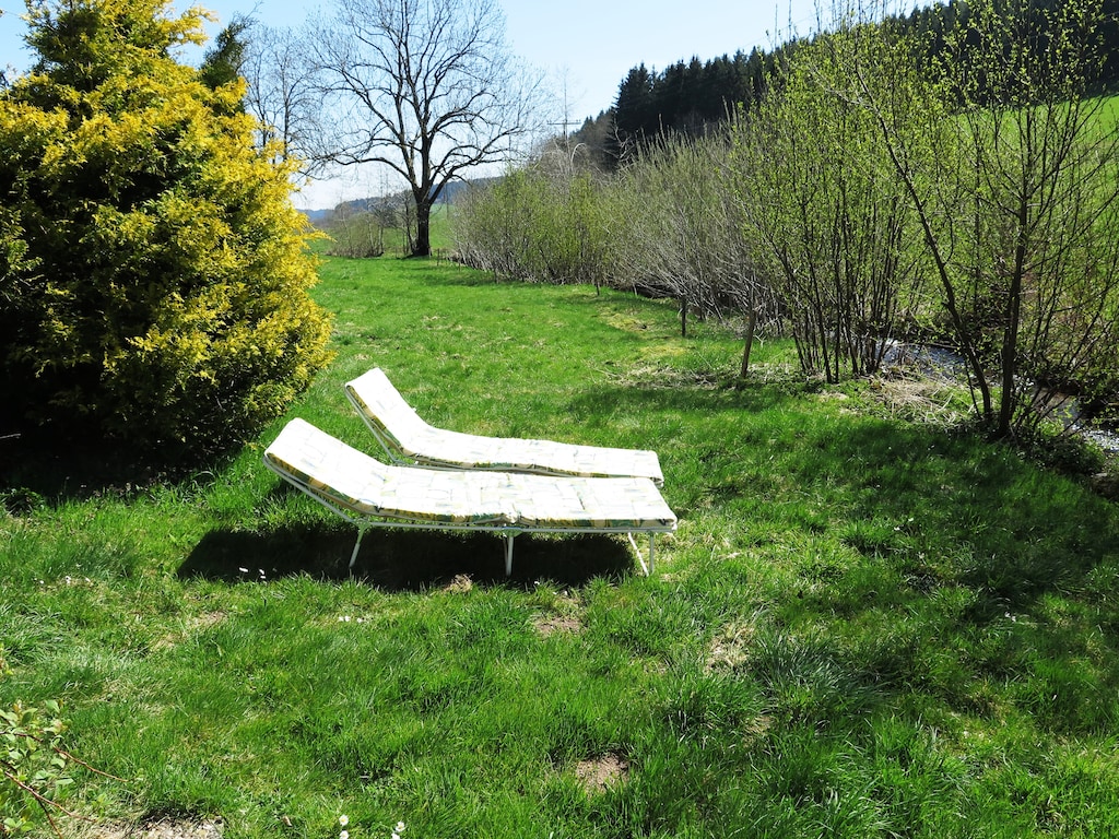 Bild 11 Bild 11