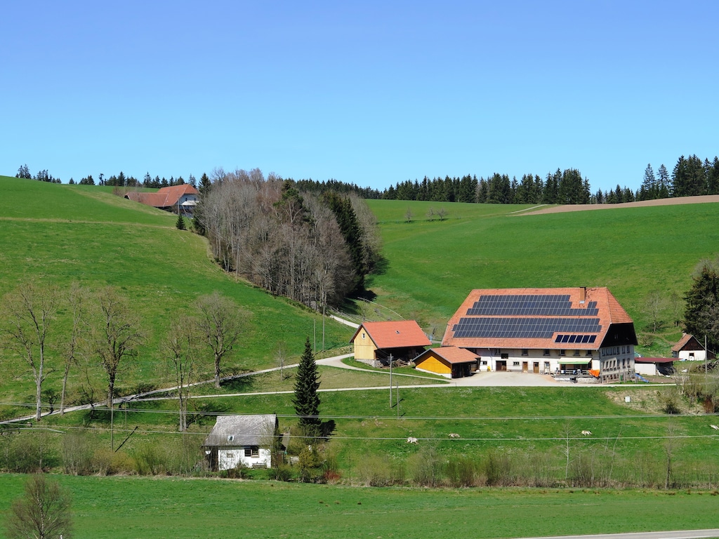Bild 15 Bild 15