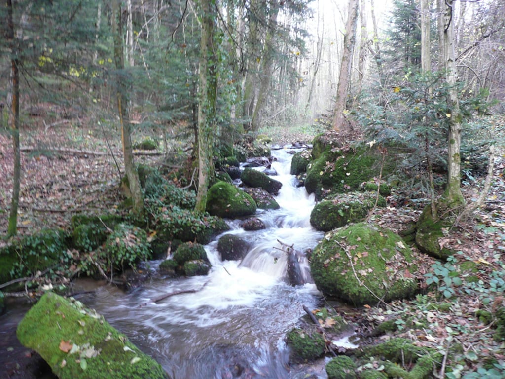Bild 16