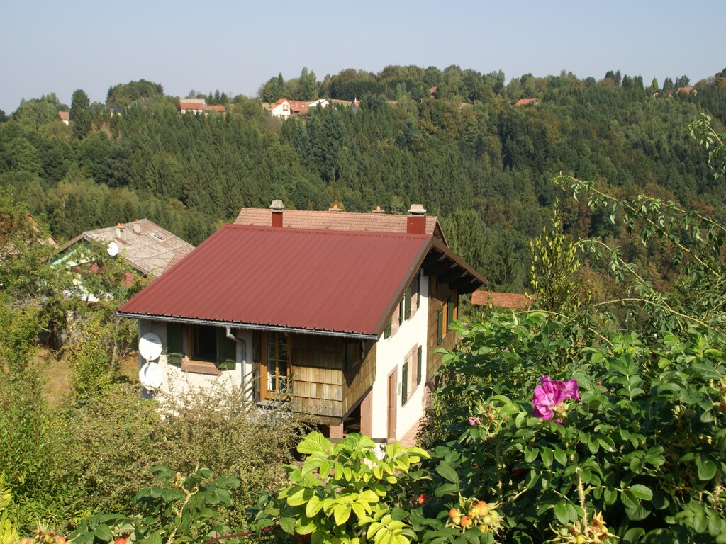 Bild 9 Bild 9