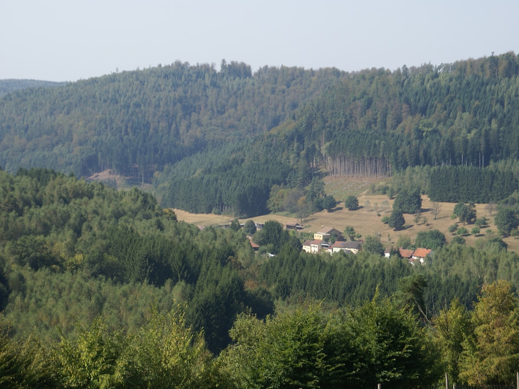Bild 33 Bild 33