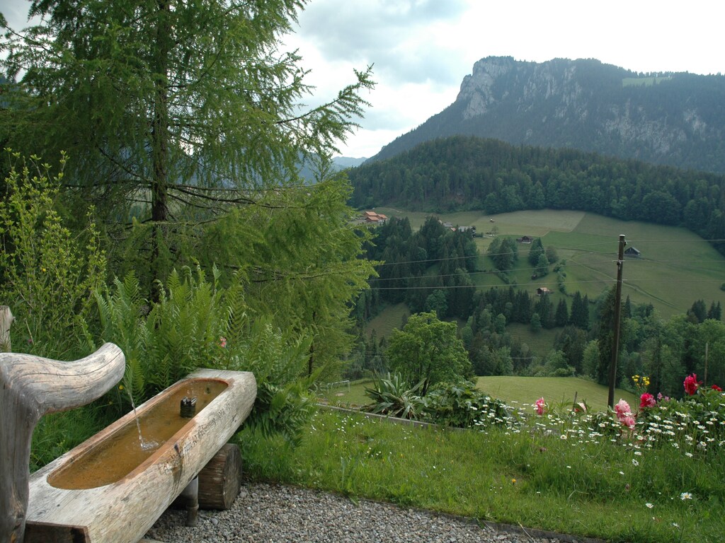 Bild 5 Bild 5