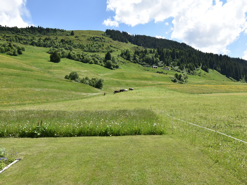 Bild 18 Bild 18
