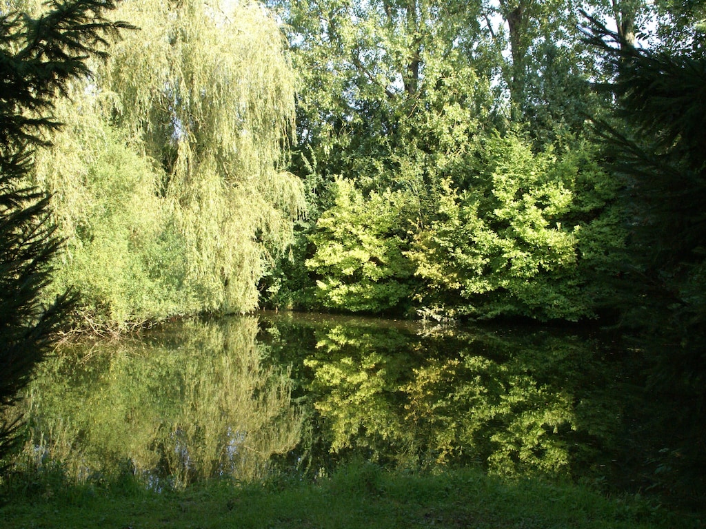 Bild 22