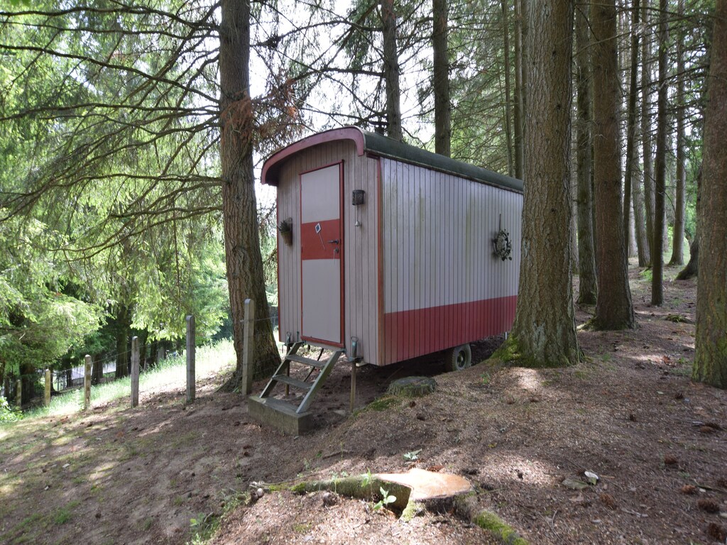 Bild 9