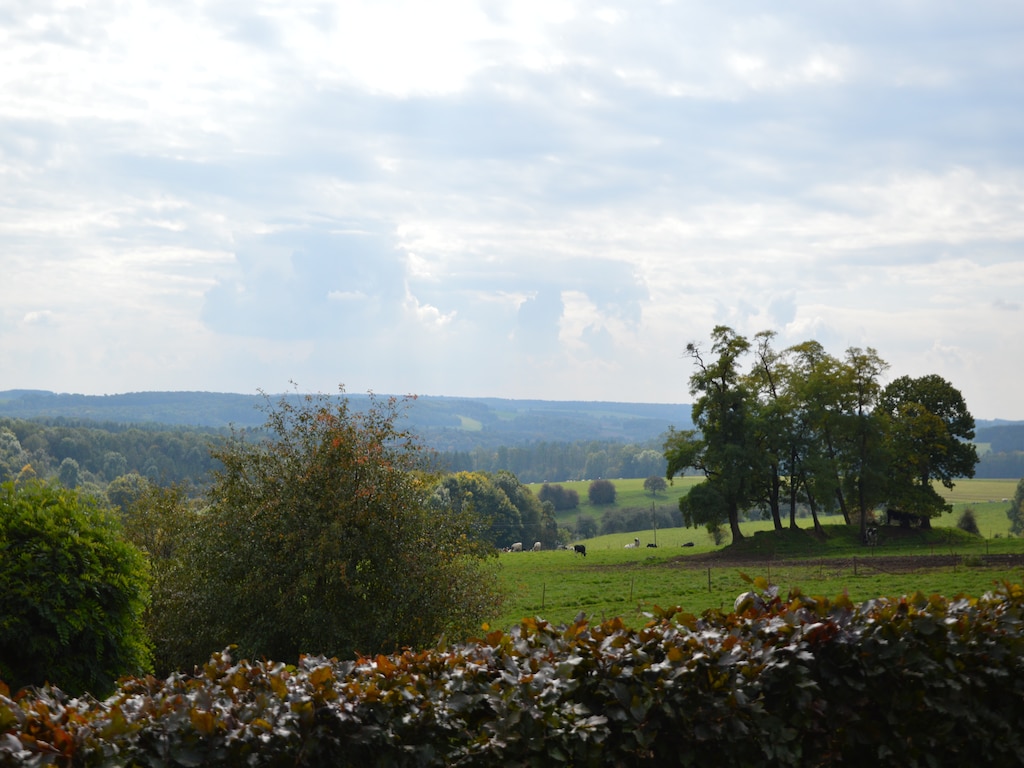Bild 6 Bild 6