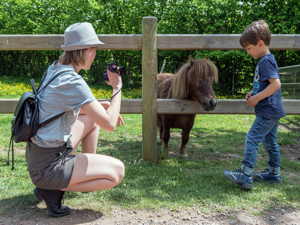 Bild 17