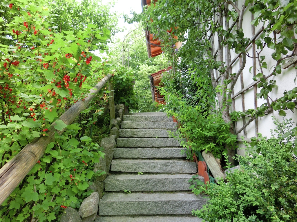 Bild 15 Bild 15