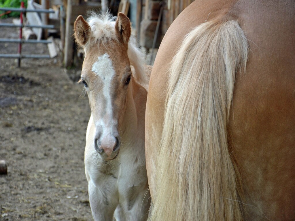 Bild 21 Bild 21