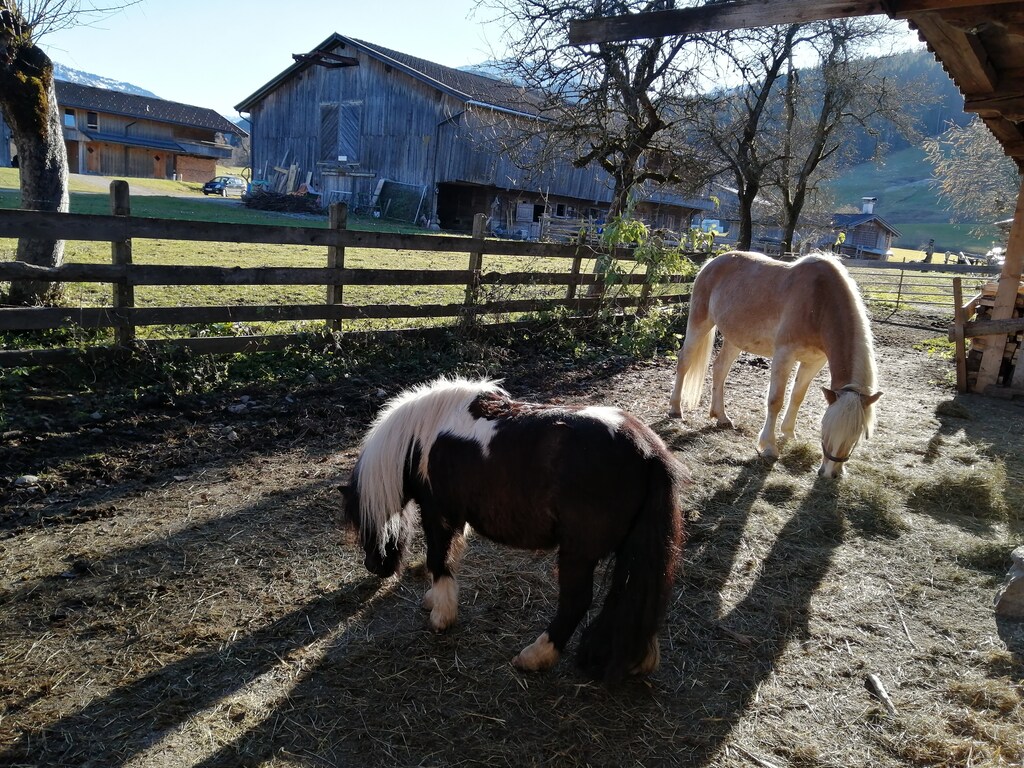 Bild 50 Bild 50