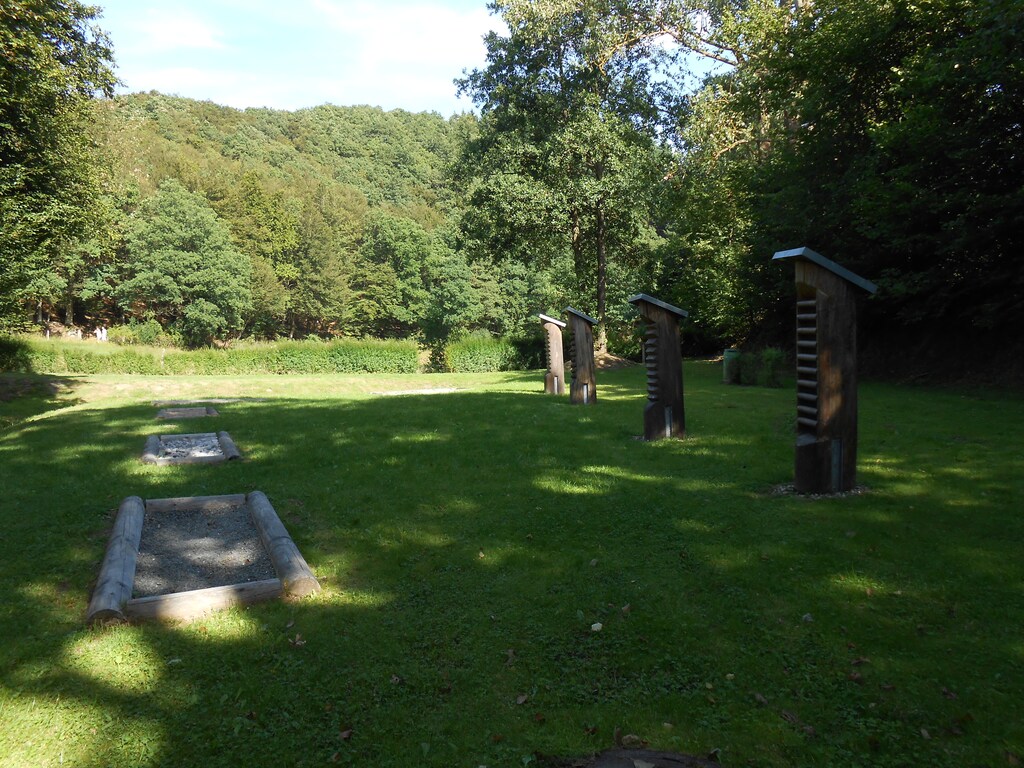 Bild 11 Bild 11
