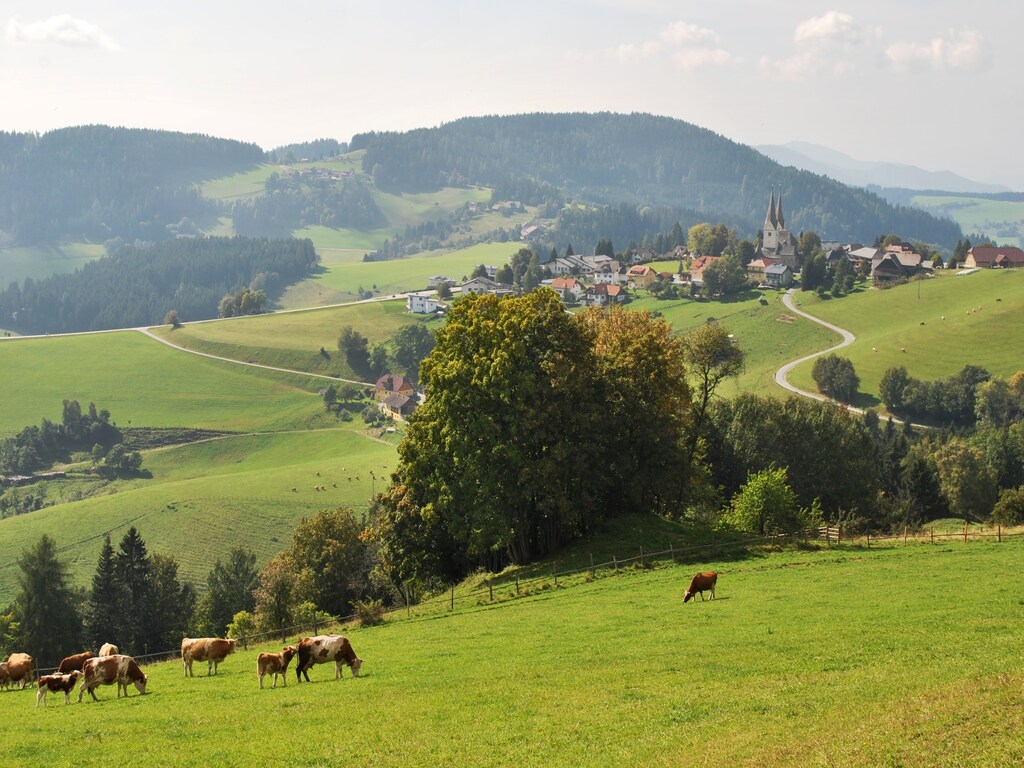Bild 22 Bild 22