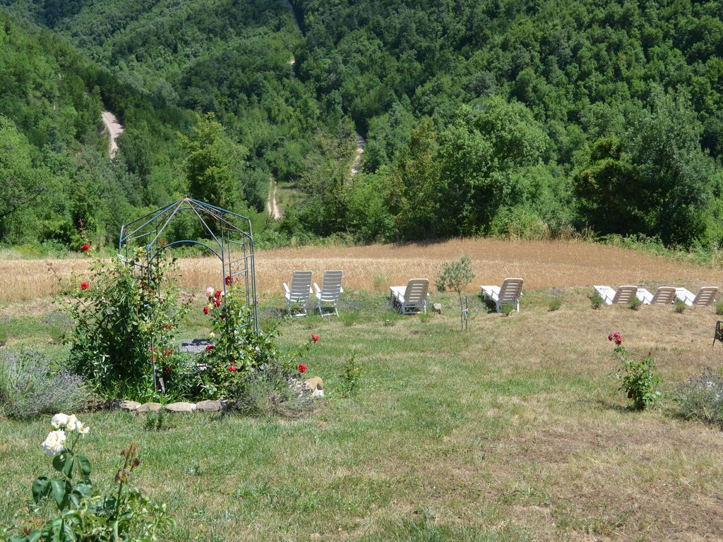 Bild 12 Bild 12