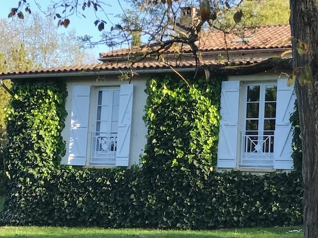 Vakantiehuis Dunes met Privézwembad