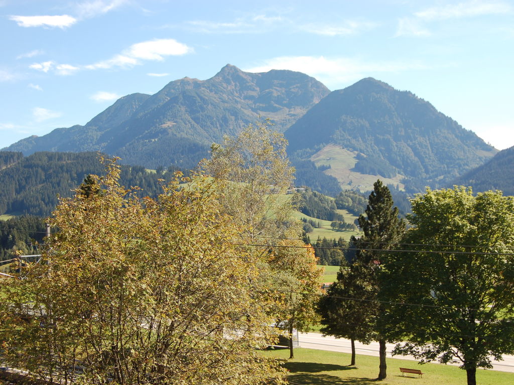 Ferienwohnung Wald 2 (1851378), Fieberbrunn, Pillerseetal, Tirol, Österreich, Bild 28